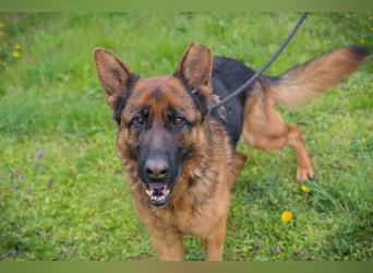 Ich bin Clint: ein Leben in der Warteschleife