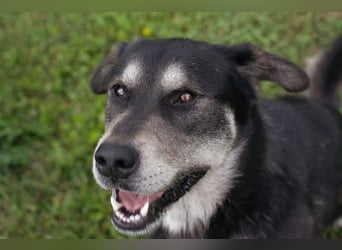 Matze: Verspielter Wirbelwind