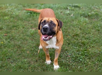 Bonita: Deine neue Wegbegleiterin?