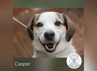 Casper versteht die Welt nicht mehr