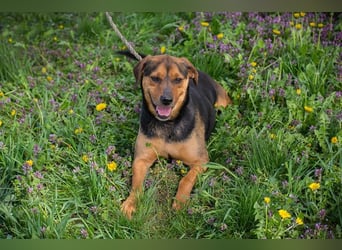 Rico: Findet der kleine Sausewind bei dir seinen Platz?