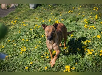 Cassy sucht ein Zuhause