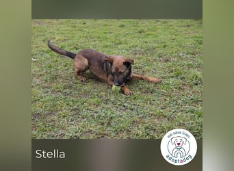 Stella möchte endlich dazugehören