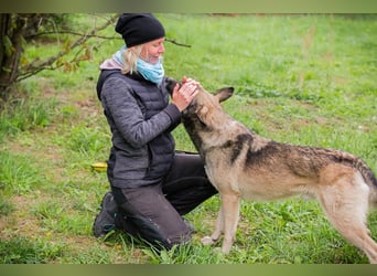 Akido – Sportskanone sucht Zuhause Akido – Sportskanone sucht Zuhause