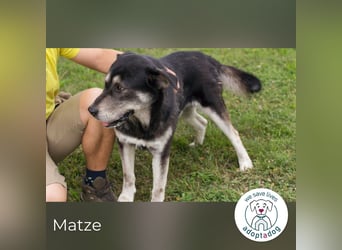 Matze: Verspielter Wirbelwind