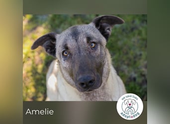 Amelie: Sanftmut trotz Schmerz