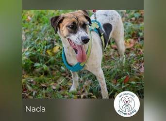 Nada sucht ihr Für-immer-Zuhause