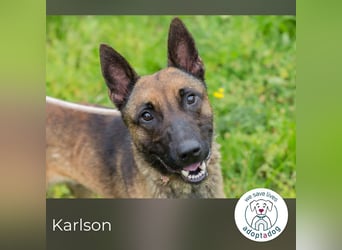 Karlson: Mit Liebe und Führung auf dem Weg ins Glück