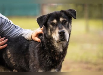 Matze: Verspielter Wirbelwind