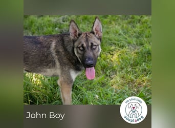 John Boy sucht ein Zuhause