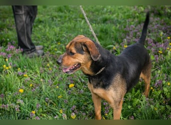 Rico: Findet der kleine Sausewind bei dir seinen Platz?