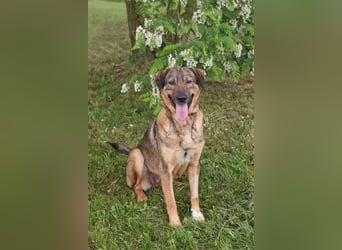 Smiley: Voller Liebe und Hoffnung