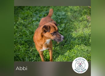 Abbi: Verdient einen Neuanfang