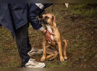 Berta: Bald ganz nah an deinem Herzen?
