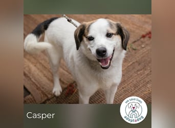 Casper versteht die Welt nicht mehr