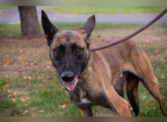 Airi: Verletztes Herz sucht Sicherheit