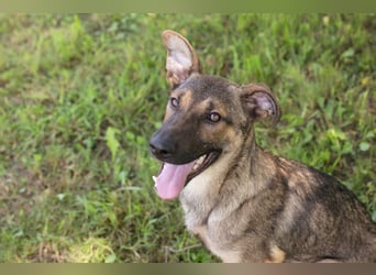 Marlee: Lebensfreude sucht Zuhause