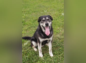 Matze: Verspielter Wirbelwind