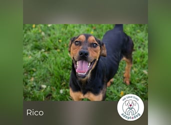 Rico: Findet der kleine Sausewind bei dir seinen Platz?