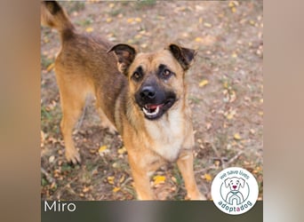 Miro: Entdecker mit Herz