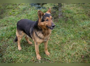 Xaver sucht ein Zuhause