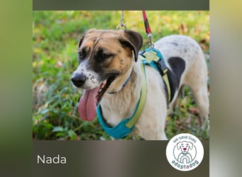Nada sucht ihr Für-immer-Zuhause