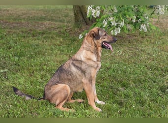 Smiley: Voller Liebe und Hoffnung