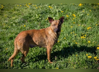 Cassy sucht ein Zuhause