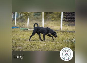 Larry: Sportskanone sucht Gleichgesinnte
