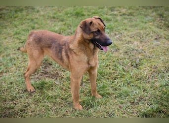 Michael will die Welt entdecken