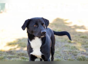 Larry: Sportskanone sucht Gleichgesinnte