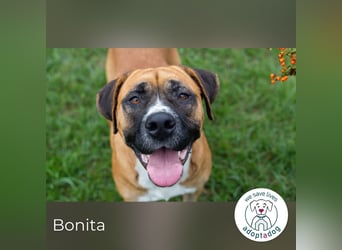 Bonita: Deine neue Wegbegleiterin?