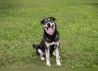 Matze: Verspielter Wirbelwind