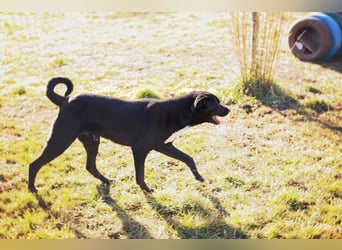 Larry: Sportskanone sucht Gleichgesinnte