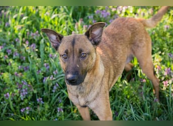 Cassy sucht ein Zuhause