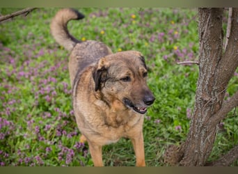 Smiley: Voller Liebe und Hoffnung