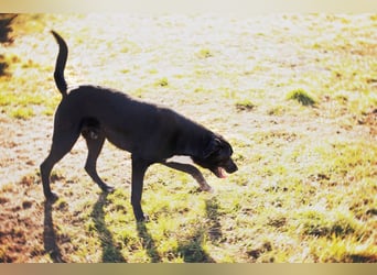 Larry: Sportskanone sucht Gleichgesinnte