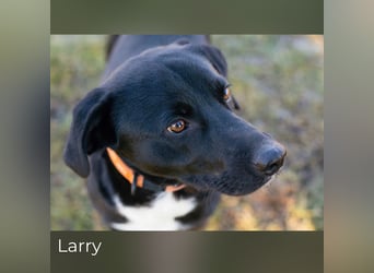 Larry: Sportskanone sucht Gleichgesinnte