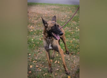 Airi: Sucht ein Zuhause