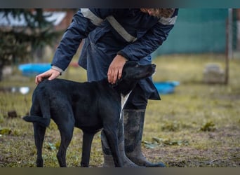 Larry: Sportskanone sucht Gleichgesinnte