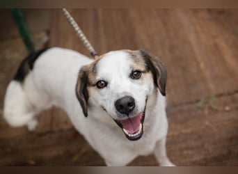 Casper versteht die Welt nicht mehr