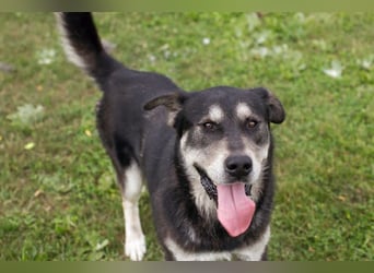 Matze: Verspielter Wirbelwind