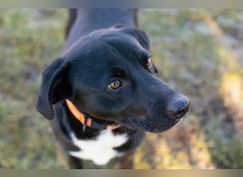 Larry: Sportskanone sucht Gleichgesinnte