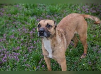 Berta: Bald ganz nah an deinem Herzen?