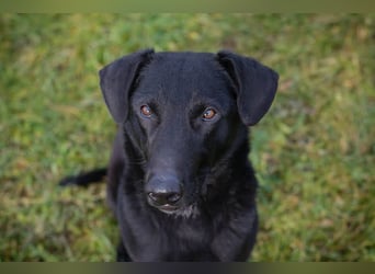 Cassius – Gern im Team unterwegs