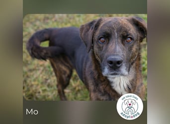Mo: Sozial und voller Lebenslust