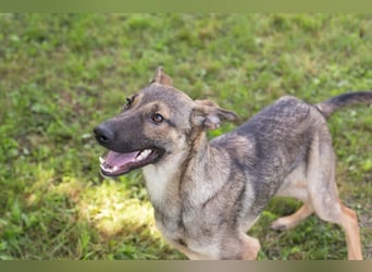 Marlee: Lebensfreude sucht Zuhause