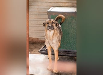 Marlee: Lebensfreude sucht Zuhause