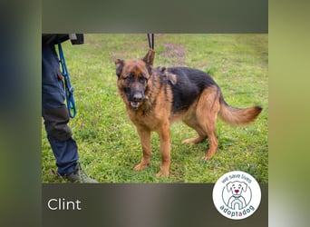 Ich bin Clint: ein Leben in der Warteschleife