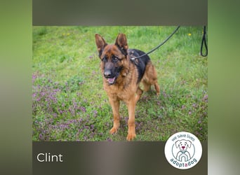 Ich bin Clint: ein Leben in der Warteschleife